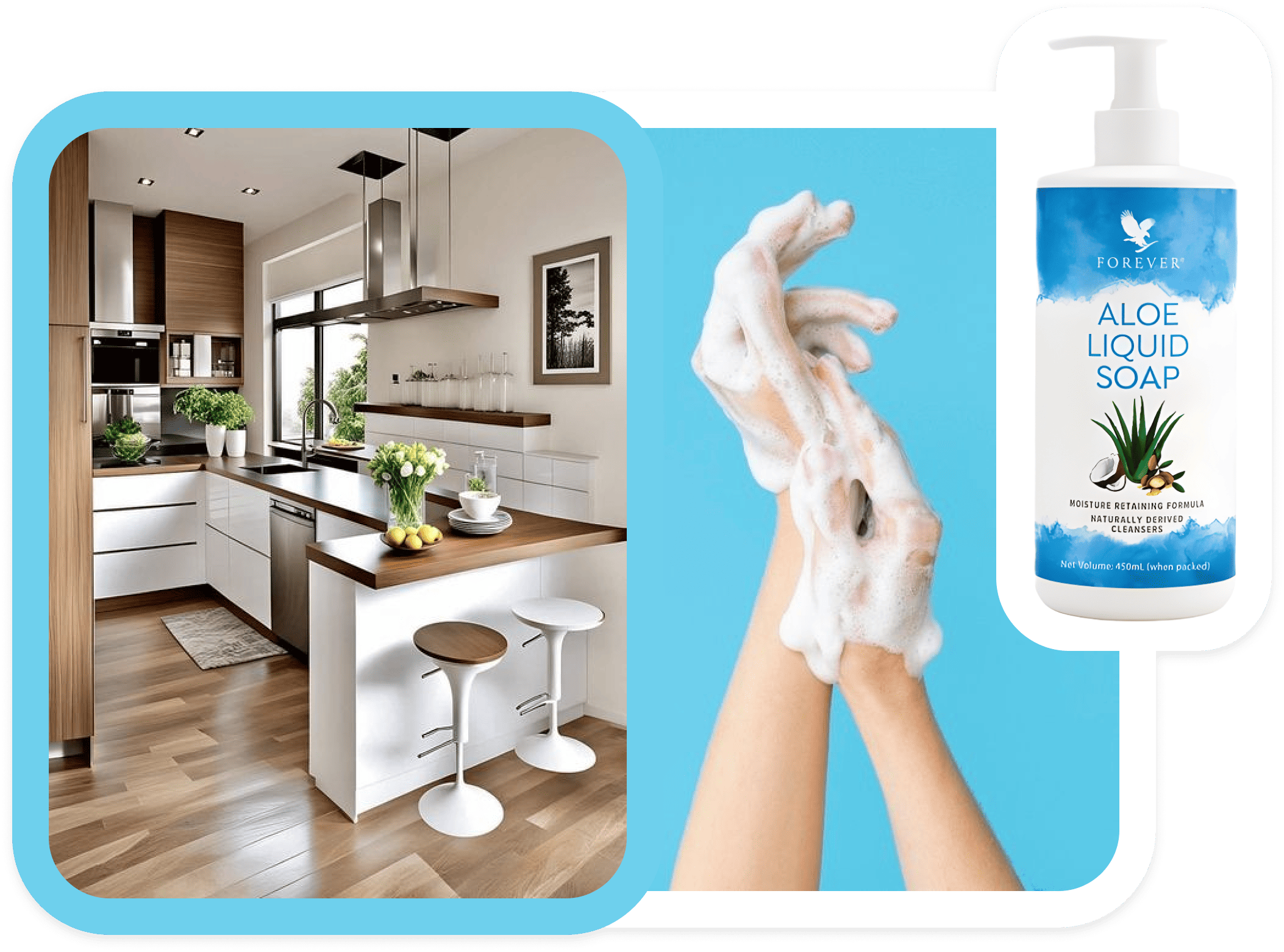 Household | https://www.perfecthealth.life